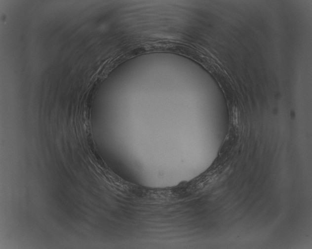 X0000071820915200606301006