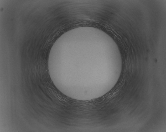 X0000071820916200606301006