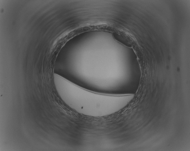 X0000071820920200606301007