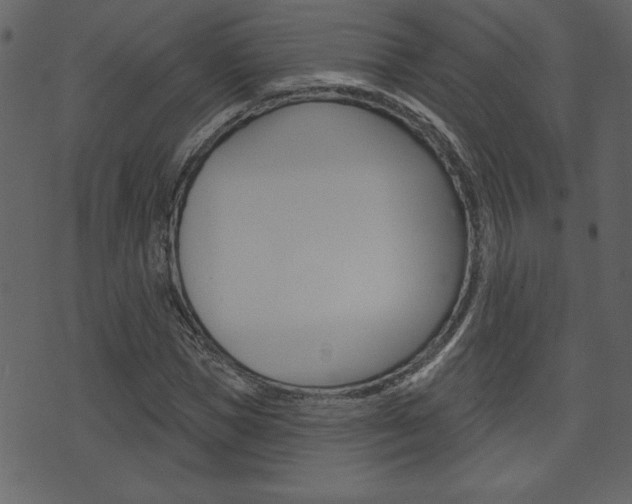 X0000071820921200606301007