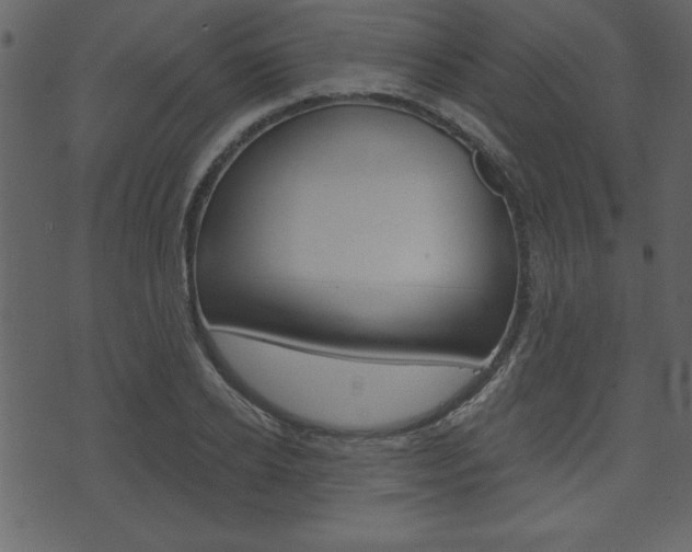 X0000071820934200606301007