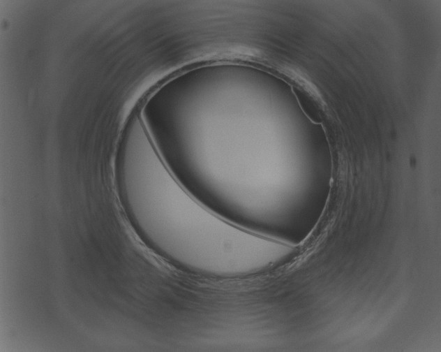 X0000071820936200606301007
