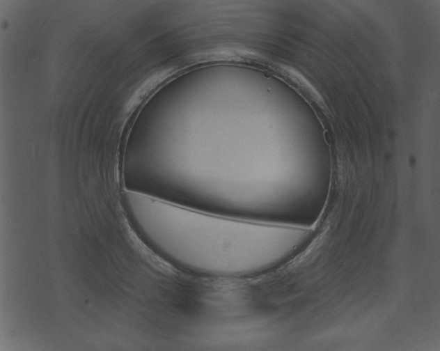 X0000071820938200606301007
