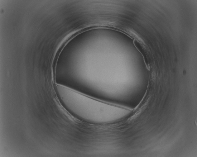 X0000071820940200606301007