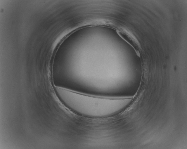 X0000071820944200606301007