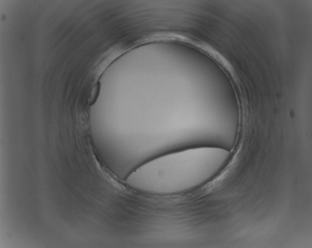 X0000071820953200606301007