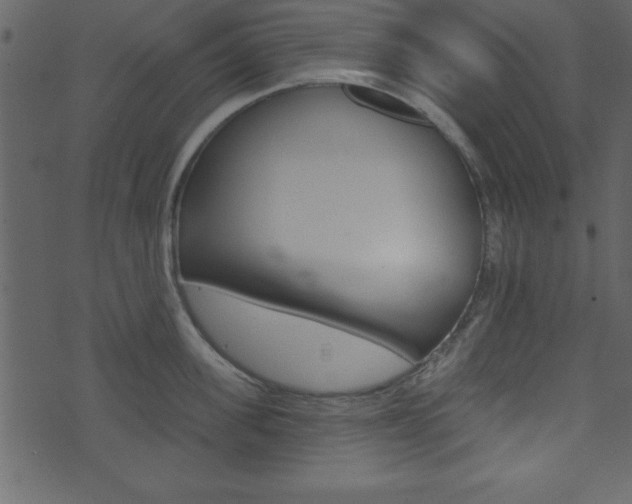 X0000071820955200606301007