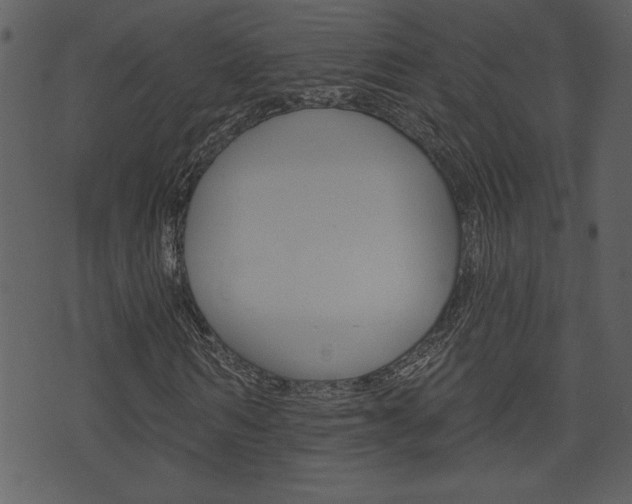 X0000071820962200606301006