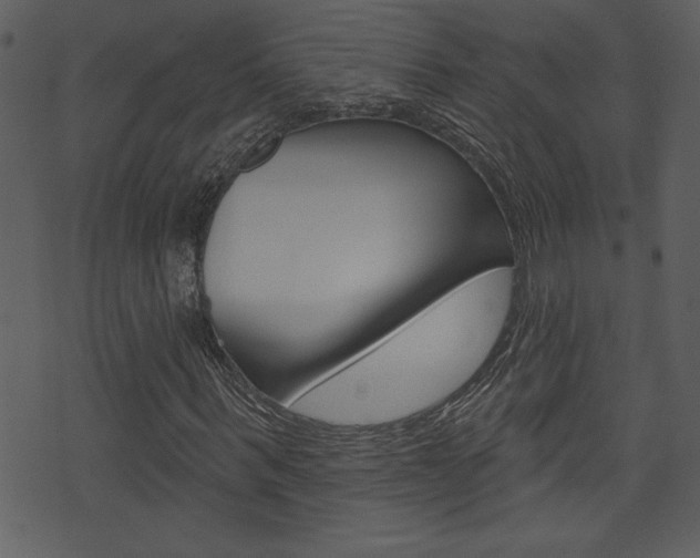 X0000071820963200606301006