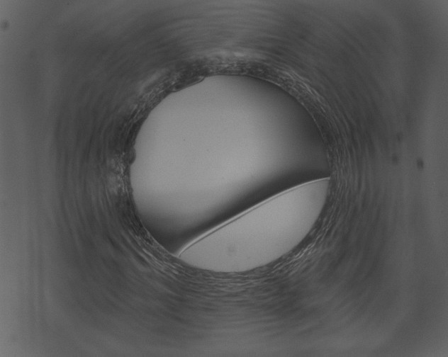 X0000071820964200606301006