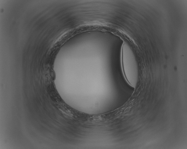 X0000071820968200606301006