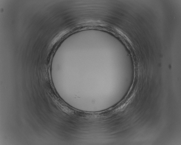X0000071820970200606301006