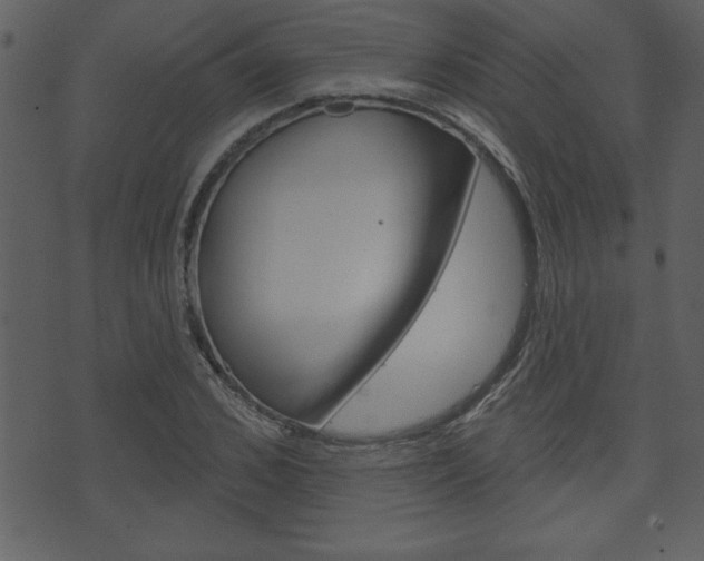 X0000071820976200606301006