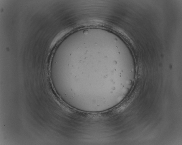 X0000071820978200606301006