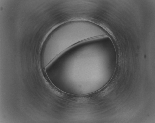 X0000071820984200606301006