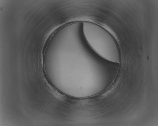 X0000071820988200606301006