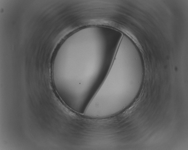 X0000071820992200606301006