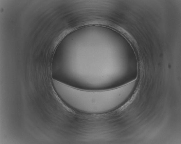 X0000071820993200606301006