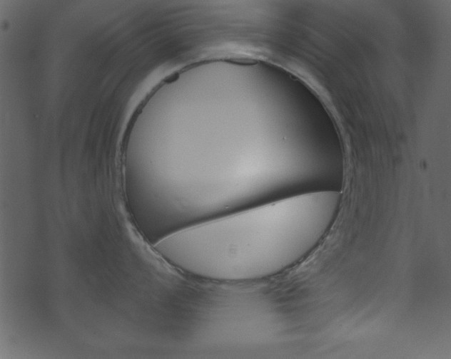 X0000071821008200606301006