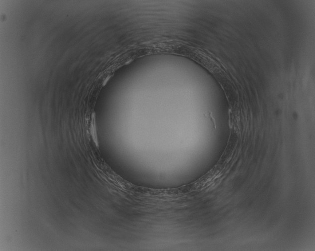 X0000071821010200606301005