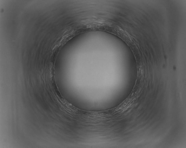 X0000071821012200606301005