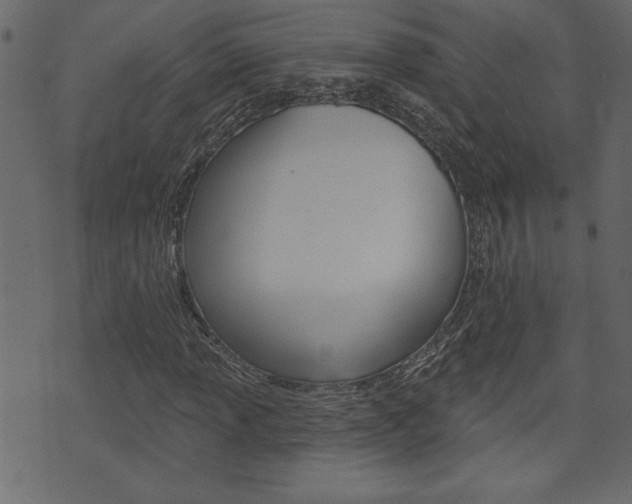 X0000071821013200606301005