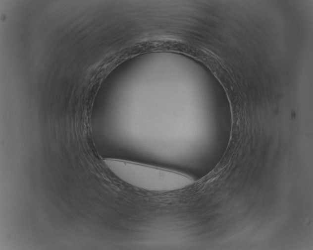X0000071821014200606301005