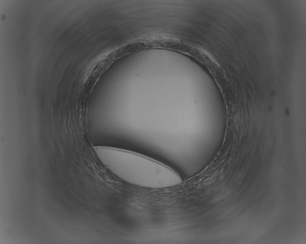 X0000071821016200606301005