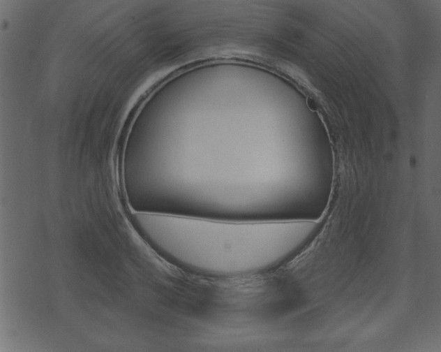 X0000071821032200606301005