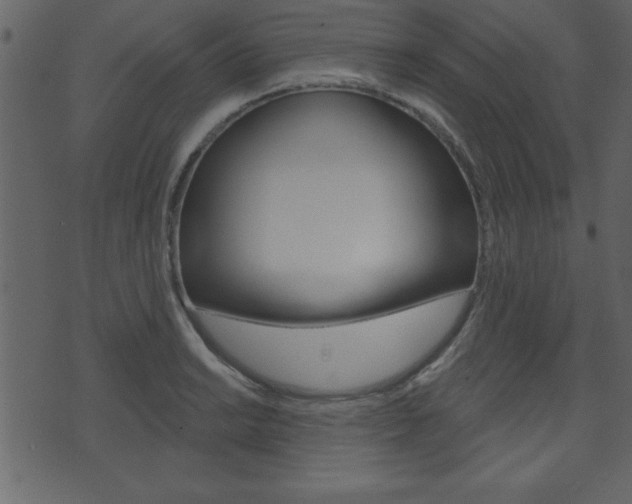 X0000071821038200606301005