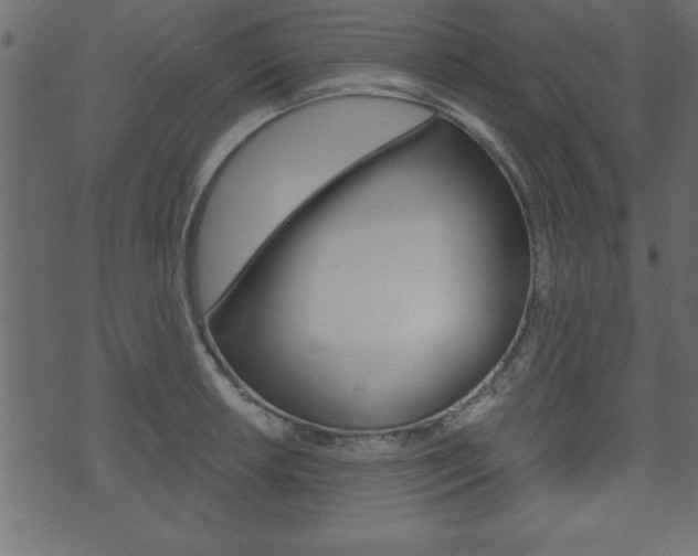 X0000071821042200606301005