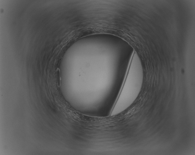 X0000071821057200606301005