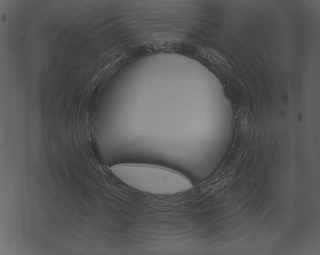 X0000071821060200606301005