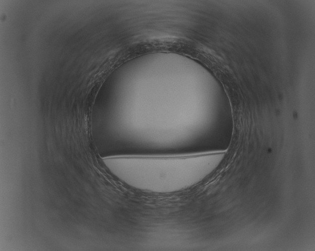 X0000071821061200606301005