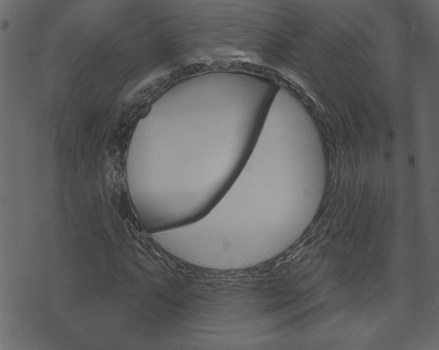 X0000071821063200606301005