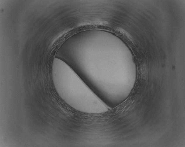 X0000071821064200606301005