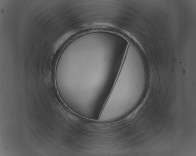 X0000071821066200606301005