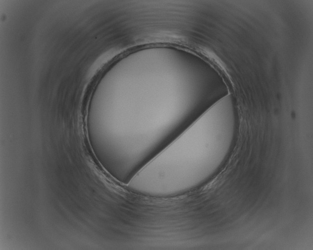 X0000071821072200606301005