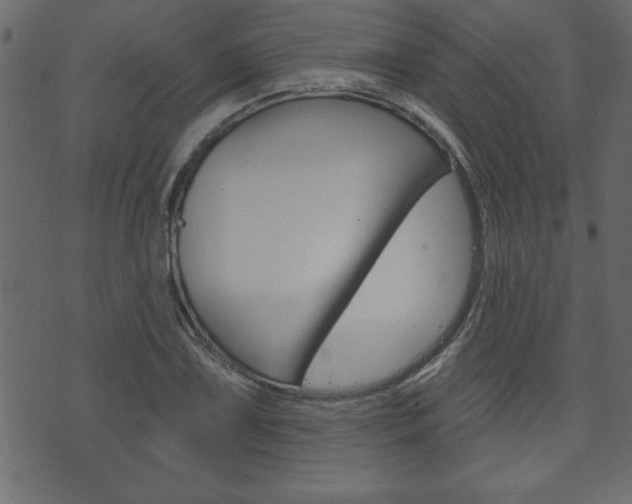 X0000071821075200606301005