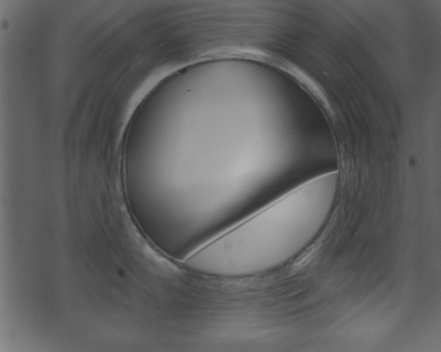 X0000071821102200606301004
