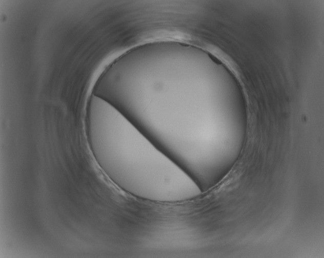 X0000071821104200606301004