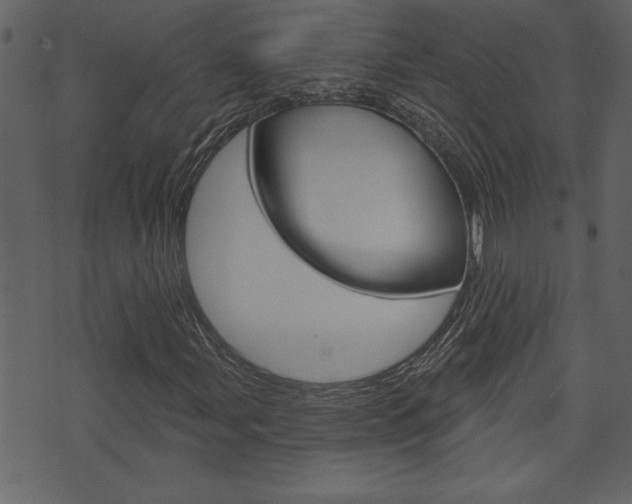 X0000071821107200606301003