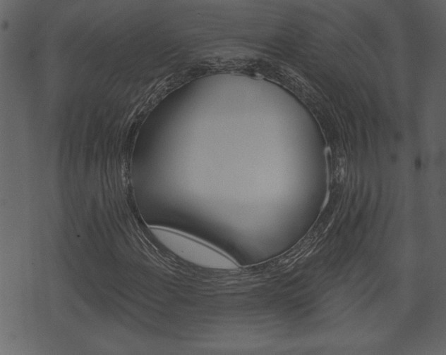 X0000071821108200606301003