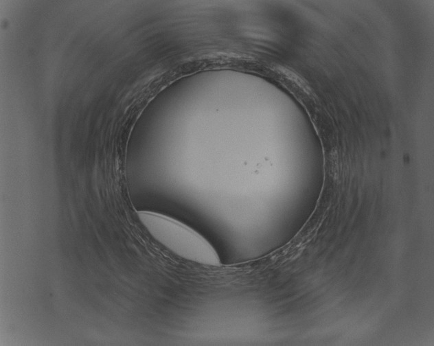 X0000071821111200606301003