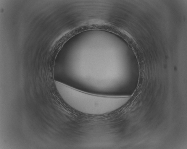X0000071821112200606301003