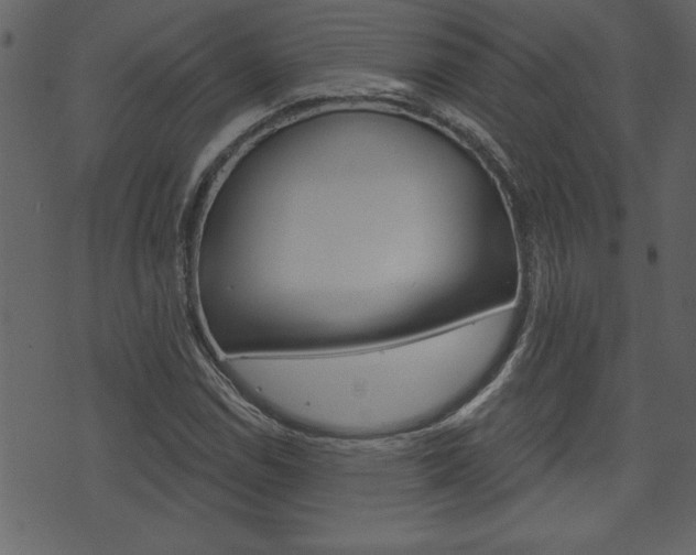 X0000071821114200606301003