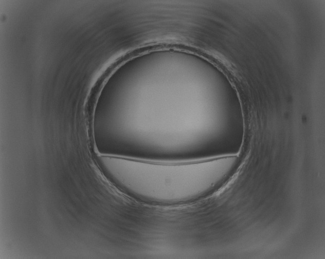 X0000071821118200606301004