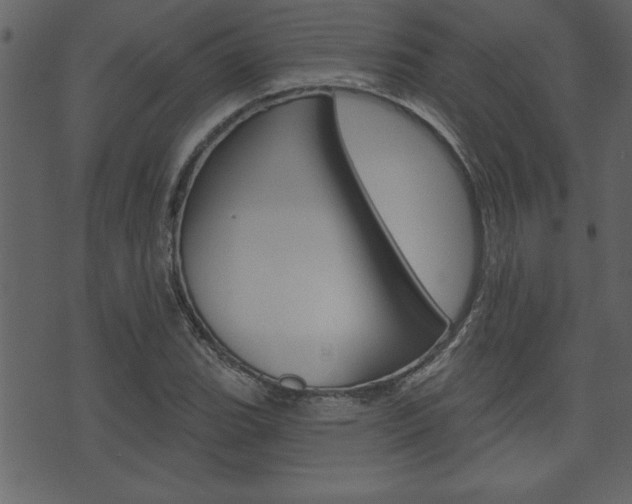 X0000071821119200606301004