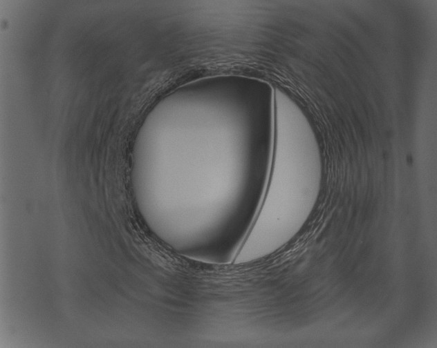 X0000071821153200606301003