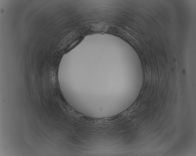 X0000071821154200606301003